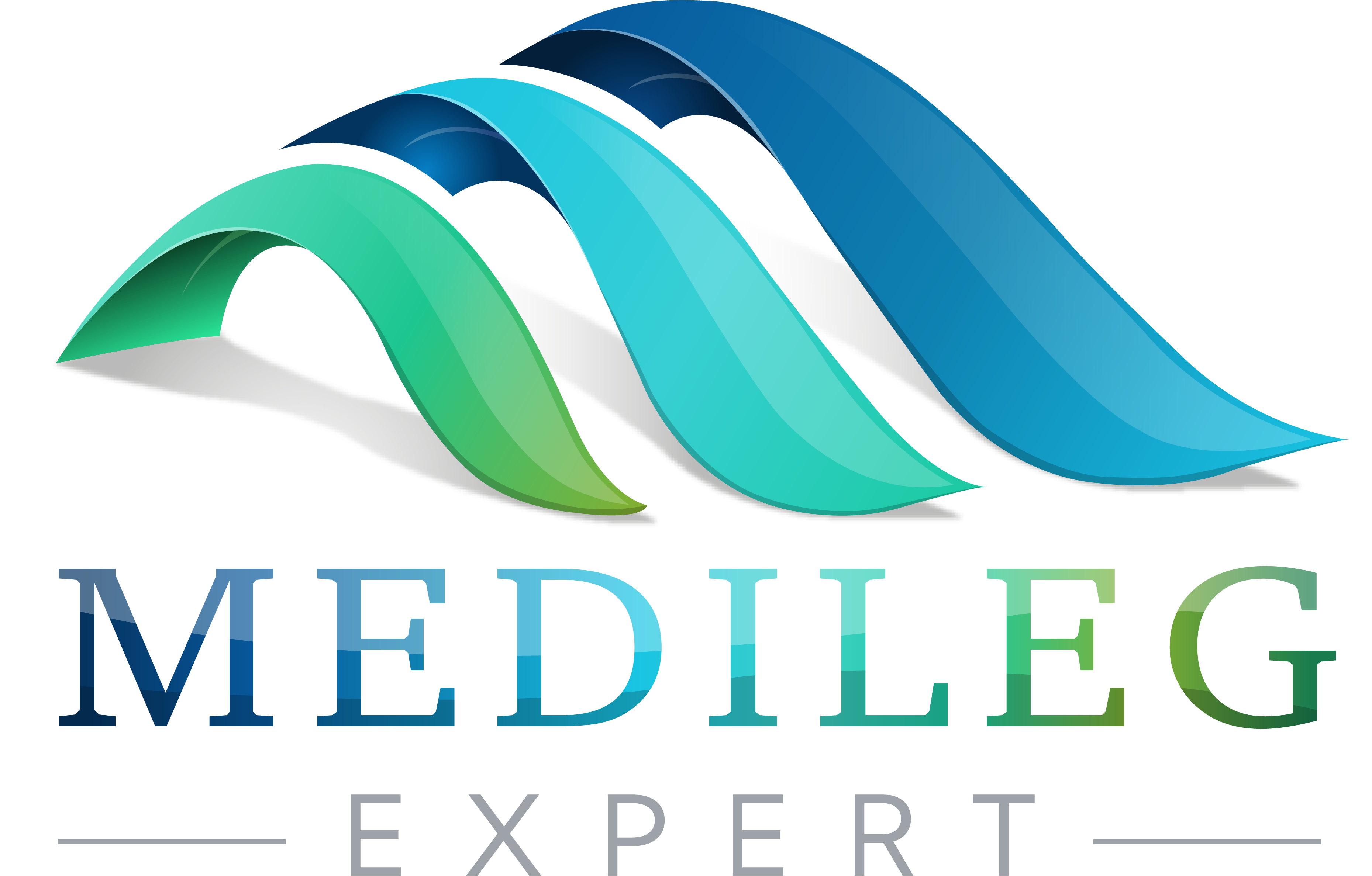 Logo MEDILEG